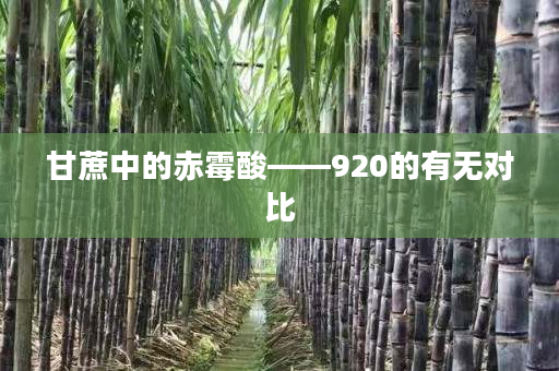 甘蔗中的赤霉酸——920的有无对比 甘蔗中的赤霉酸——920的有无对比