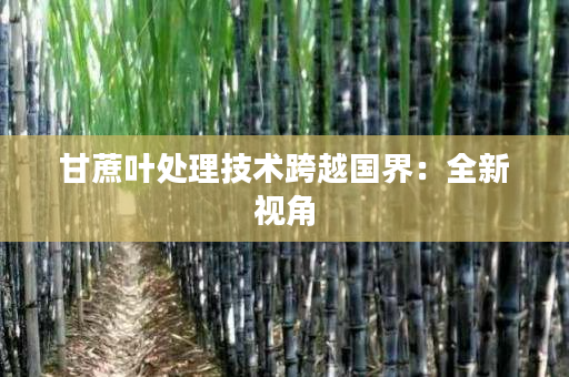 甘蔗叶处理技术跨越国界:全新视角 甘蔗叶处理技术跨越国界:全新视角