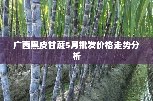 广西黑皮甘蔗5月批发价格走势分析 广西黑皮甘蔗5月批发价格走势分析