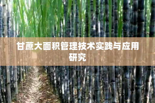 甘蔗大面积管理技术实践与应用研究 甘蔗大面积管理技术实践与应用研究