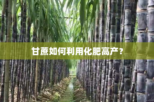 甘蔗如何利用化肥高产? 甘蔗如何利用化肥高产?