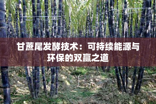 甘蔗尾发酵技术:可持续能源与环保的双赢之道 甘蔗尾发酵技术:可持续能源与环保的双赢之道