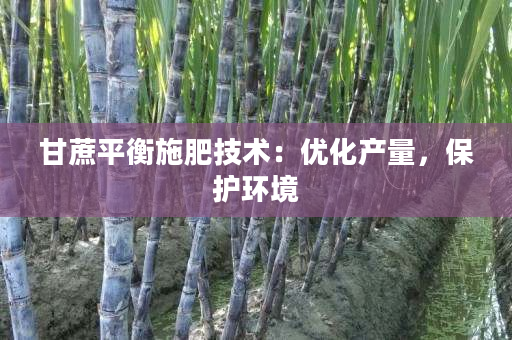 甘蔗平衡施肥技术:优化产量,保护环境 甘蔗平衡施肥技术:优化产量,保护环境
