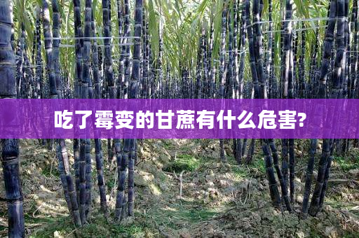 吃了霉变的甘蔗有什么危害? 吃了霉变的甘蔗有什么危害?