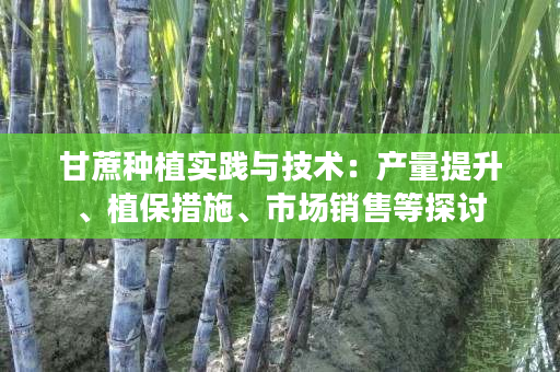 甘蔗种植实践与技术:产量提升、植保措施、市场销售等探讨 甘蔗种植实践与技术:产量提升、植保措施、市场销售等探讨