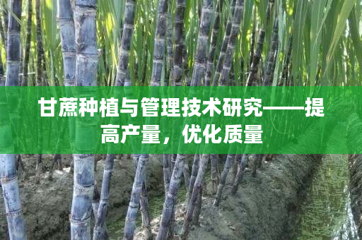 甘蔗种植与管理技术研究——提高产量,优化质量 甘蔗种植与管理技术研究——提高产量,优化质量