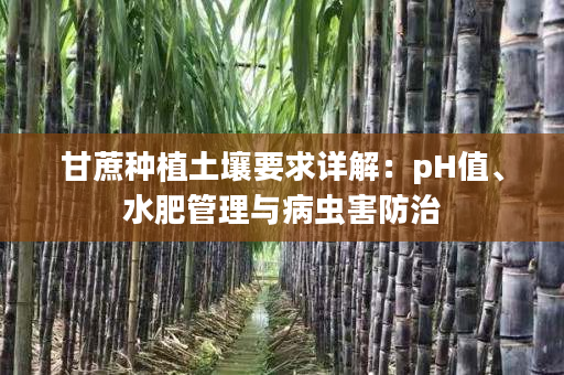 甘蔗种植土壤要求详解：pH值、水肥管理与病虫害防治