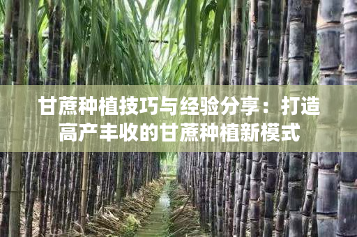 甘蔗种植技巧与经验分享:打造高产丰收的甘蔗种植新模式 甘蔗种植技巧与经验分享:打造高产丰收的甘蔗种植新模式