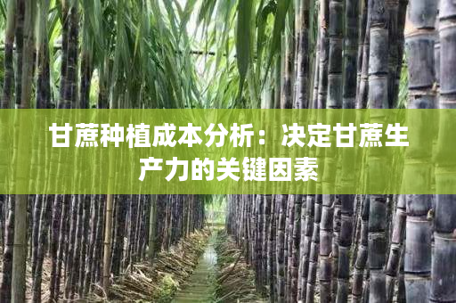 甘蔗种植成本分析：决定甘蔗生产力的关键因素