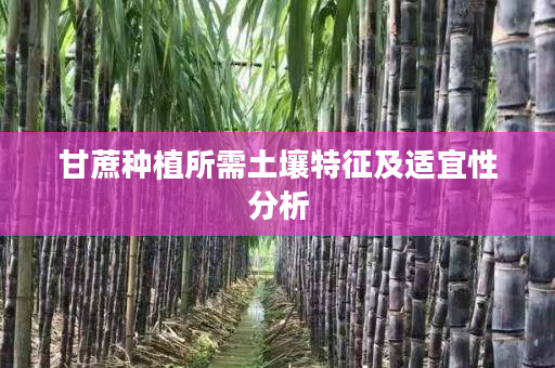 甘蔗种植所需土壤特征及适宜性分析