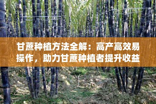 甘蔗种植方法全解:高产高效易操作,助力甘蔗种植者提升收益 甘蔗种植方法全解:高产高效易操作,助力甘蔗种植者提升收益