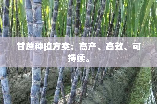 甘蔗种植方案:高产、高效、可持续。 甘蔗种植方案:高产、高效、可持续。