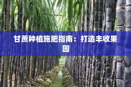 甘蔗种植施肥指南:打造丰收果园 甘蔗种植施肥指南:打造丰收果园