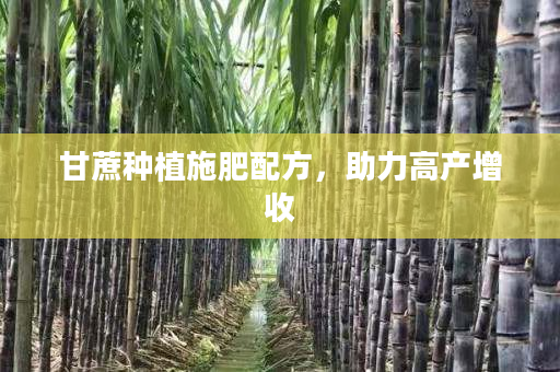 甘蔗种植施肥配方，助力高产增收