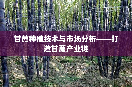 甘蔗种植技术与市场分析——打造甘蔗产业链 甘蔗种植技术与市场分析——打造甘蔗产业链