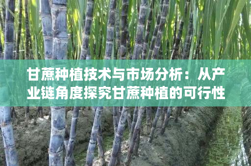 甘蔗种植技术与市场分析:从产业链角度探究甘蔗种植的可行性与优化方案 甘蔗种植技术与市场分析:从产业链角度探究甘蔗种植的可行性与优化方案