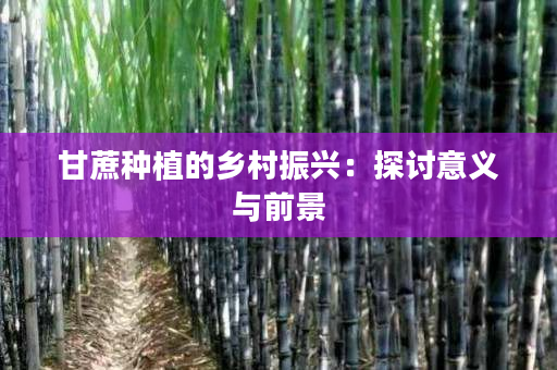 甘蔗种植的乡村振兴:探讨意义与前景 甘蔗种植的乡村振兴:探讨意义与前景