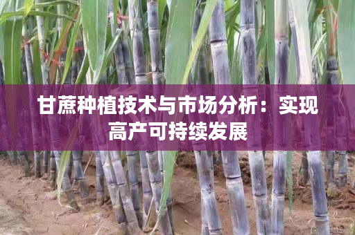 甘蔗种植技术与市场分析:实现高产可持续发展 甘蔗种植技术与市场分析:实现高产可持续发展
