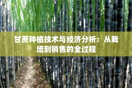 甘蔗种植技术与经济分析:从栽培到销售的全过程 甘蔗种植技术与经济分析:从栽培到销售的全过程