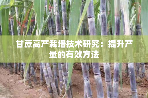 甘蔗高产栽培技术研究:提升产量的有效方法 甘蔗高产栽培技术研究:提升产量的有效方法