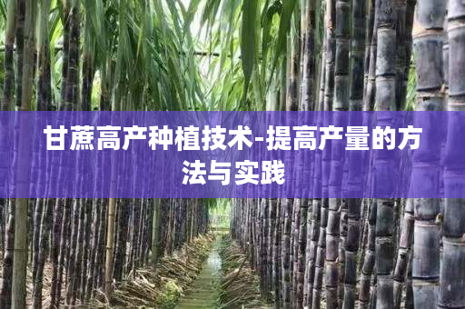 甘蔗高产种植技术-提高产量的方法与实践 甘蔗高产种植技术-提高产量的方法与实践