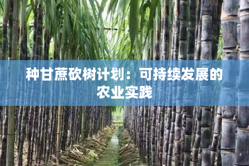 种甘蔗砍树计划:可持续发展的农业实践 种甘蔗砍树计划:可持续发展的农业实践