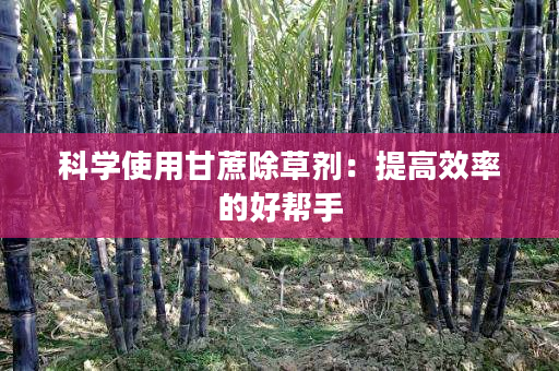 科学使用甘蔗除草剂:提高效率的好帮手 科学使用甘蔗除草剂:提高效率的好帮手