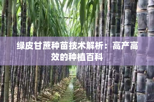 绿皮甘蔗种苗技术解析:高产高效的种植百科 绿皮甘蔗种苗技术解析:高产高效的种植百科