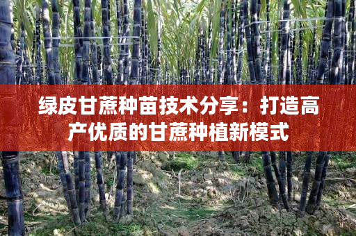 绿皮甘蔗种苗技术分享:打造高产优质的甘蔗种植新模式 绿皮甘蔗种苗技术分享:打造高产优质的甘蔗种植新模式