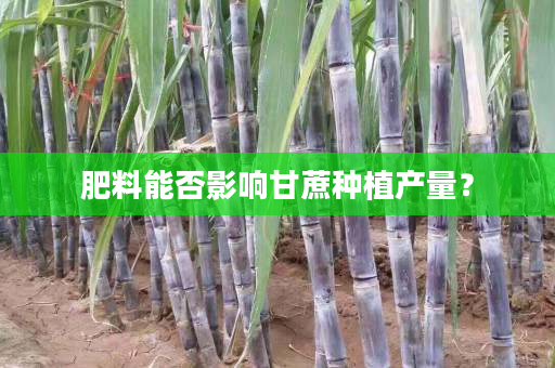 肥料能否影响甘蔗种植产量? 肥料能否影响甘蔗种植产量?