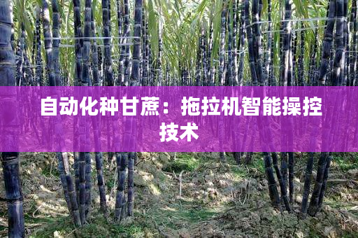 自动化种甘蔗:拖拉机智能操控技术 自动化种甘蔗:拖拉机智能操控技术