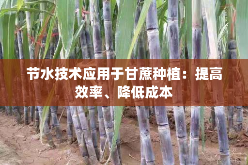 节水技术应用于甘蔗种植:提高效率、降低成本 节水技术应用于甘蔗种植:提高效率、降低成本