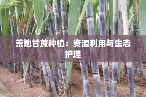 荒地甘蔗种植：资源利用与生态护理