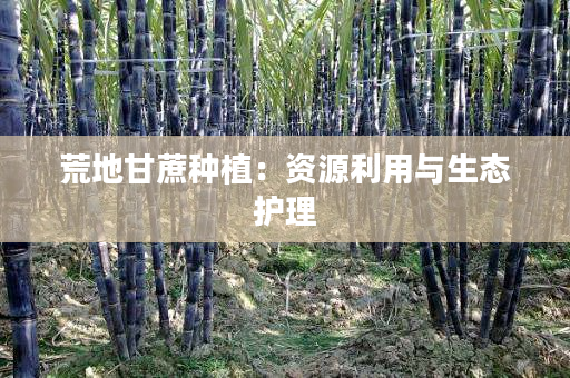 荒地甘蔗种植:资源利用与生态护理 荒地甘蔗种植:资源利用与生态护理