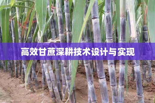 高效甘蔗深耕技术设计与实现 高效甘蔗深耕技术设计与实现