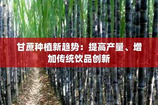 甘蔗种植新趋势:提高产量、增加传统饮品创新 甘蔗种植新趋势:提高产量、增加传统饮品创新