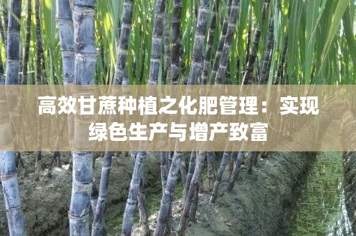 高效甘蔗种植之化肥管理:实现绿色生产与增产致富 高效甘蔗种植之化肥管理:实现绿色生产与增产致富