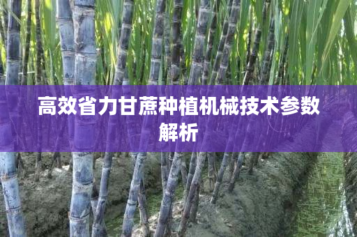 高效省力甘蔗种植机械技术参数解析