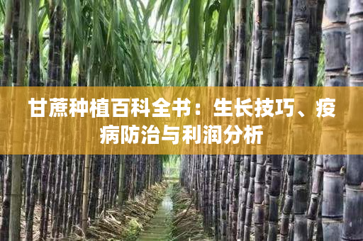 甘蔗种植百科全书:生长技巧、疫病防治与利润分析 甘蔗种植百科全书:生长技巧、疫病防治与利润分析