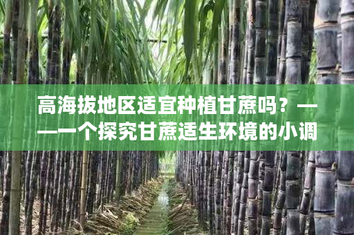 高海拔地区适宜种植甘蔗吗？——一个探究甘蔗适生环境的小调查