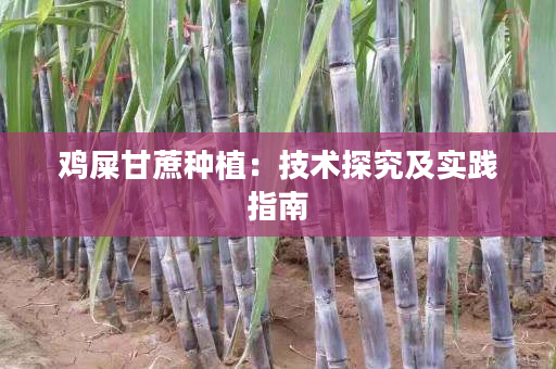 鸡屎甘蔗种植:技术探究及实践指南 鸡屎甘蔗种植:技术探究及实践指南