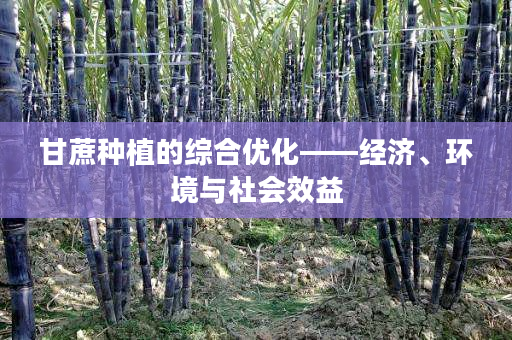 甘蔗种植的综合优化——经济、环境与社会效益 甘蔗种植的综合优化——经济、环境与社会效益