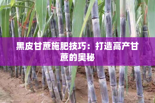 黑皮甘蔗施肥技巧:打造高产甘蔗的奥秘 黑皮甘蔗施肥技巧:打造高产甘蔗的奥秘