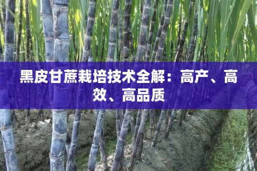 黑皮甘蔗栽培技术全解：高产、高效、高品质