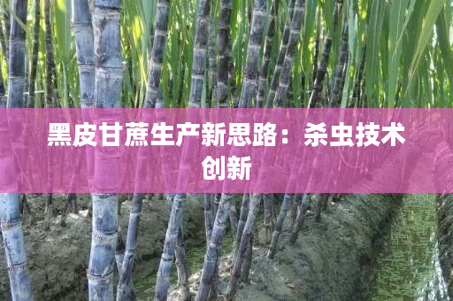 黑皮甘蔗生产新思路:杀虫技术创新 黑皮甘蔗生产新思路:杀虫技术创新
