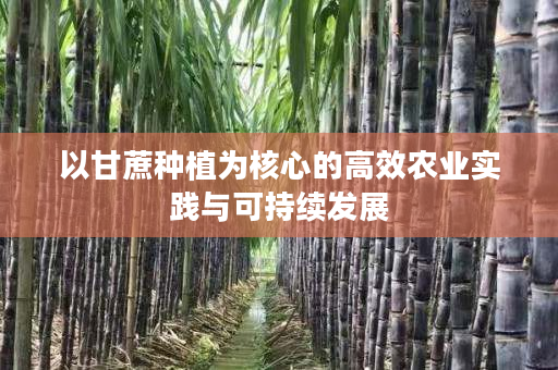 以甘蔗种植为核心的高效农业实践与可持续发展 以甘蔗种植为核心的高效农业实践与可持续发展
