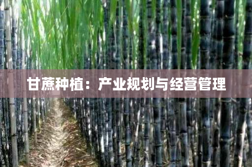 甘蔗种植:产业规划与经营管理 甘蔗种植:产业规划与经营管理