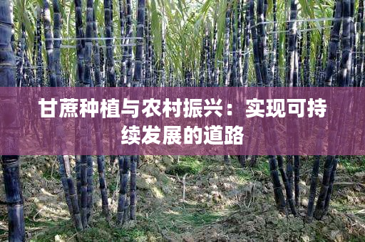 甘蔗种植与农村振兴:实现可持续发展的道路 甘蔗种植与农村振兴:实现可持续发展的道路