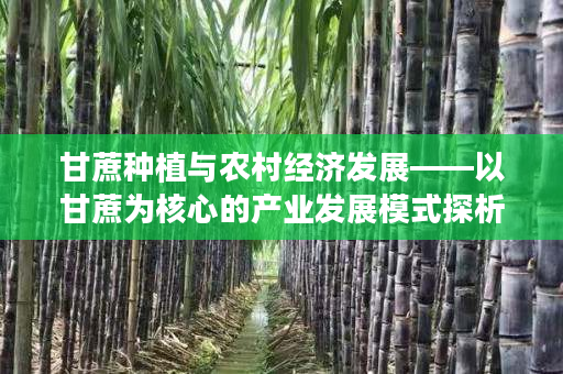 甘蔗种植与农村经济发展——以甘蔗为核心的产业发展模式探析 甘蔗种植与农村经济发展——以甘蔗为核心的产业发展模式探析