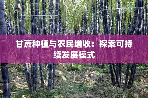甘蔗种植与农民增收:探索可持续发展模式 甘蔗种植与农民增收:探索可持续发展模式